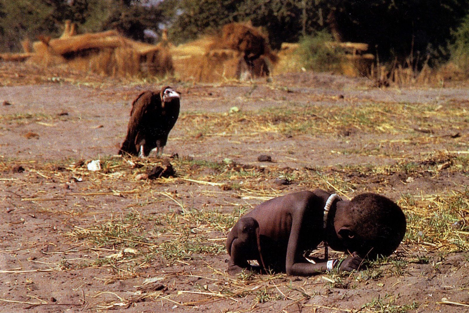 Plano general, color. Niño africano esqueletico encogido sobre si mismo. Un buitre le observa al fondo.